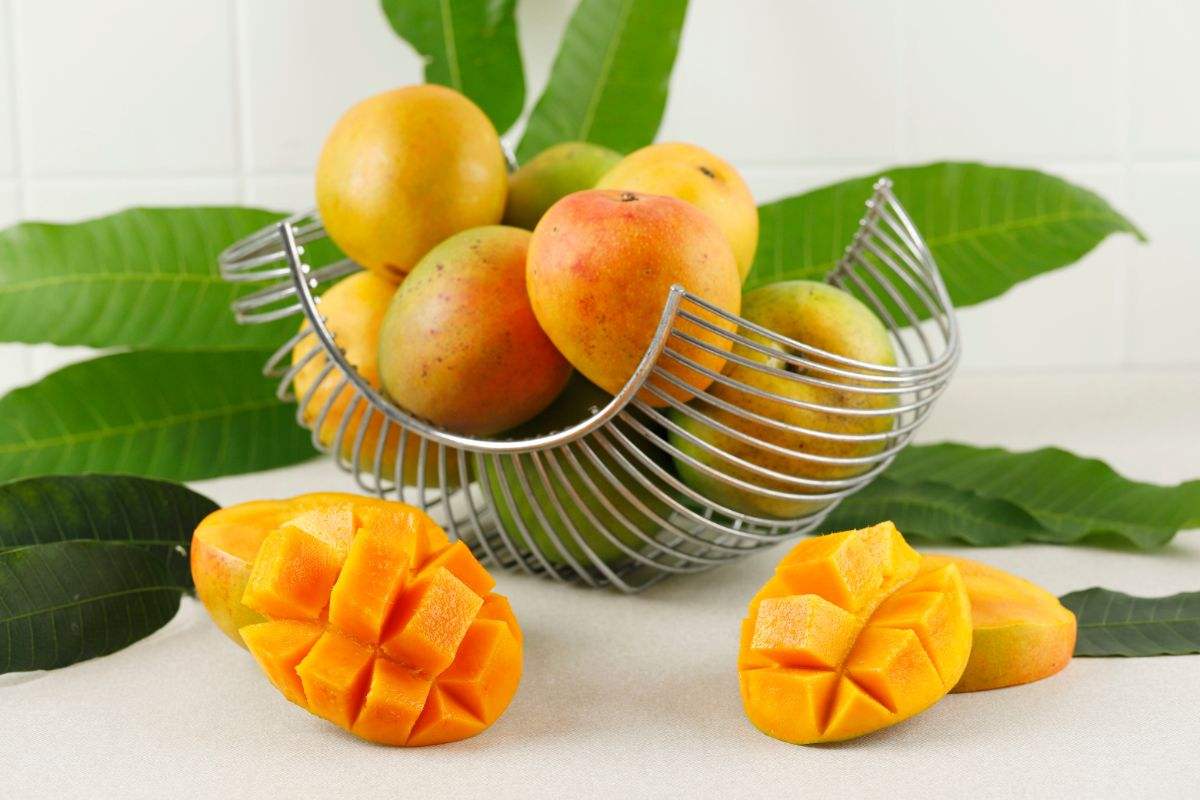 Mango